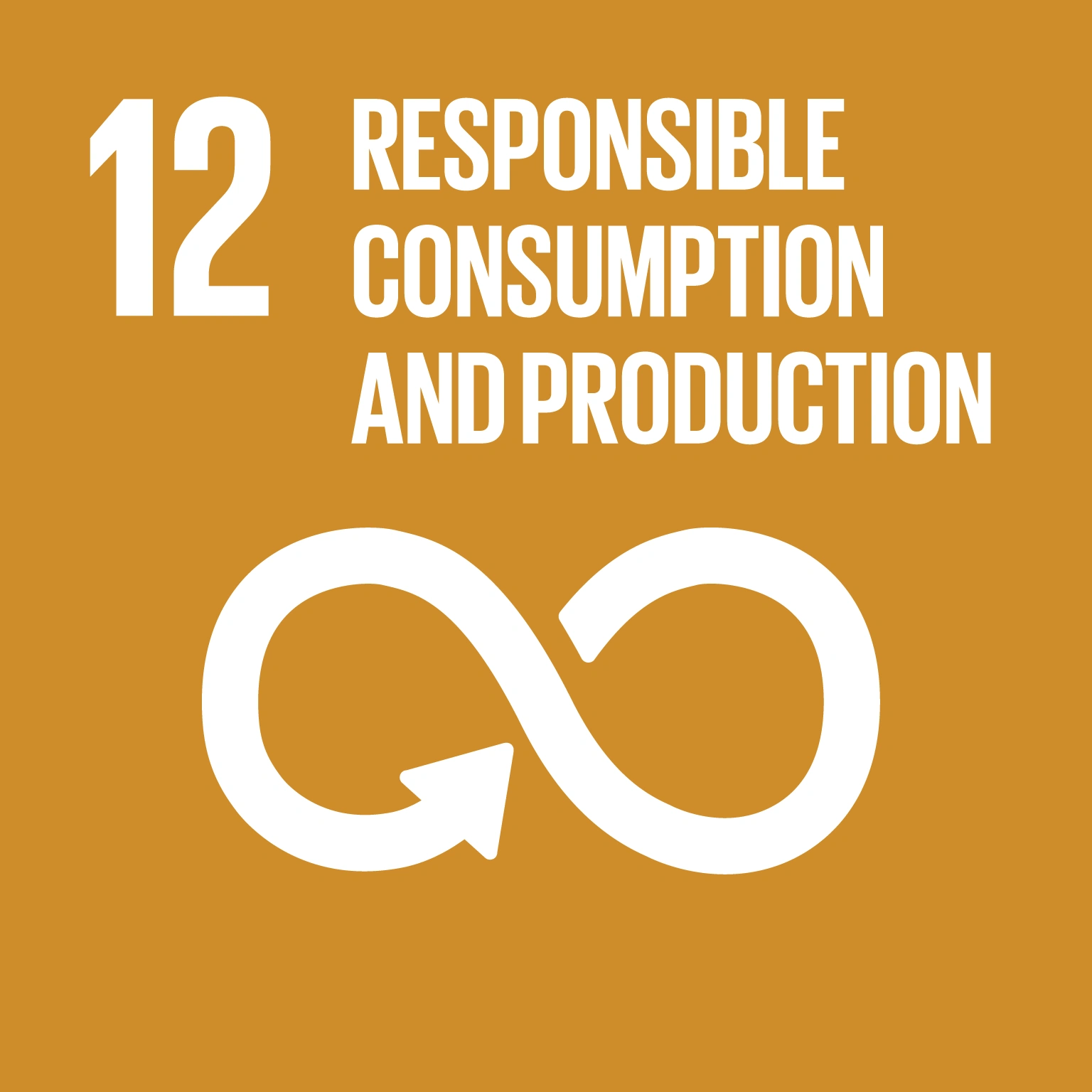 ODS 12 — Consumo e Produção Responsáveis
